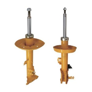 Tray & strut shock absorber